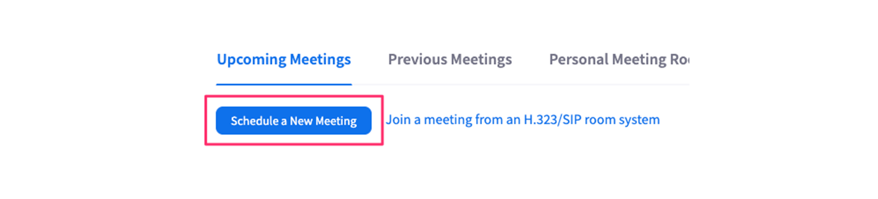Screenshot of the Zoom website with the option to Schedule a New Meeting highlighted